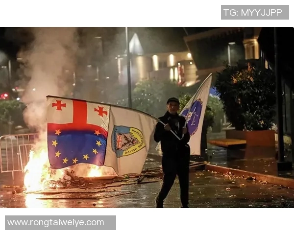 法国与德国激烈对抗中爆炸声频响引发国际关注与讨论