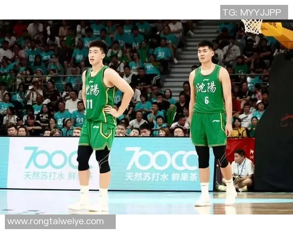 辽宁对阵广东精彩比赛录像回放全程回顾与分析