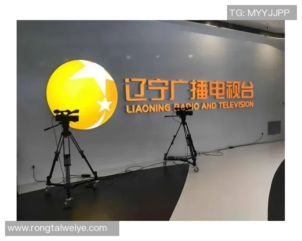 辽宁卫视电视直播全方位解析精彩节目与观看指南